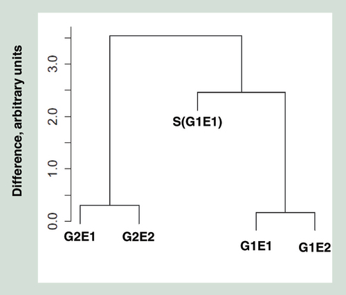 Figure 1.  Unsupervised cluster diagram of data from 65 SNP probes from the twins and sister.These probes are highly polymorphic SNPs, intended for analyzing relatedness between individuals. The y-axis represents arbitrary units of differences between individuals. Monozygotic pairs are coded as in the text.