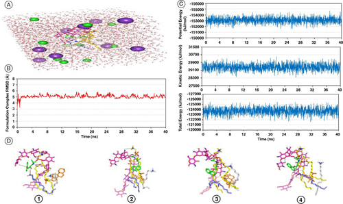 Figure 4. Propranolol hydrochloride–phospholipid formulation complex across explicit molecular dynamics simulation within a 100% aqueous solvation system. (A) Solvated PNL-PC formulation complex within TIP3P water cube and ionizable potassium and chloride atoms; (B) RMSD trajectories for simulated formulation complex versus time frames in nanoseconds (ns); (C) Plots for the system's total energy and its constituting terms (kinetics and potentials) versus the simulated time frames (ns); (D) Conformation alterations-time evolution of PNL-PC-formulation additive heterocomplex. Thermodynamic movements formulation components: PNL (green sticks), PC interface (yellow sticks), chitosan (magenta sticks), OA (blue sticks), CTAB (white sticks), and CH (orange sticks) were monitored over MD simulation trajectories being captured at different snapshots ① 10 ns, ② 20 ns, ③ 30 ns, and ④ 40 ns. Polar interactions, discussed within context, are depicted as black dashed lines.CH: Cholesterol; CTAB: Cetyltrimethylammonium bromide; OA: Oleic acid; PC: Phospholipid; PNL: Propranolol hydrochloride.