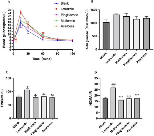 Figure 2 Comparison of glucose homeostasis in rats of different experimental groups. (A) Results of Intraperitoneal glucose tolerance test in each group, n=8, compared with the blank group, ##P <0.01, compared with the letrozole group, *P<0.05, **P<0.01, Values were presented as the mean±SEM (The data are non-normally distributed repeated measurements, Generalized linear estimating equation was used). (B) AUCs of rats in each group, n=8 for each group. Values were presented as the mean±SEM (Data were analyzed for statistically significant differences using one-way ANOVA). (C) FINS of rats in each group, n=8 compared with the blank group, #P <0.05, compared with the letrozole group, *P<0.05, **P<0.01, Values were presented as the mean±SEM (Data were analyzed for statistically significant differences using one-way ANOVA followed by Dunnett post hoc test). (D) HOMA-IR of rats in each group, n=8. Values were presented as the mean±SEM (Data were analyzed for statistically significant differences using one-way ANOVA followed by Tukey post hoc test) compared with the blank group, ###P<0.001, compared with letrozole group,***P<0.001.