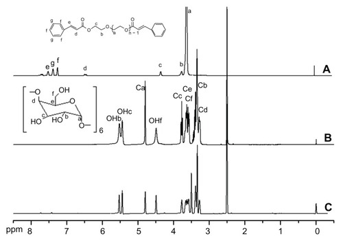 Figure 1 The 1H NMR spectra of cinnamic-acid-modified PEG (A), α-CD (B), and polyrotaxanes (C).Abbreviations: PEG, poly(ethylene glycol); α-CD, α-cyclodextrin.
