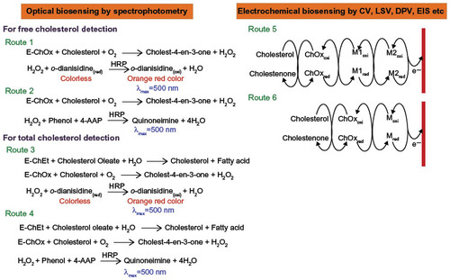 Figure 4 Various biochemical pathways adopted for designing optical and electrochemical biosensors for cholesterol detection using PANI as the enzyme immobilization platform.