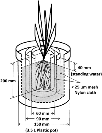 Figure 1  Design of the rhizobag system.