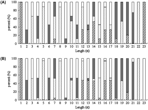 Fig. 3. Nucleotide bias of MiRNA fragments at the various site.Note: (A) Nucleotide bias at 10 °C. (B) Nucleotide bias at –25 °C. □ G; Display full size C; Display full size A; Display full size U.