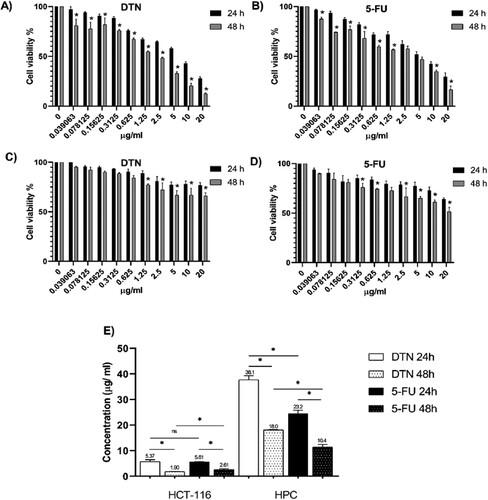 Figure 1. Cytotoxicity effect of DTN and 5-FU (0–20 µg/ml) on HCT-116 and HPC cells. (A) Effect of DTN on cell viability of HCT-116 cells. (B) Effect of 5-FU on cell viability of HCT-116 cells. (C) Effect of DTN on cell viability of HPC cells. (D) Effect of 5-FU on cell viability of HPC cells. (E) The IC50 concentration of DTN and 5-FU treated HCT-116 and HPC cells at 24 and 48 h. Data shown are mean of three independent experiments. *P < .05 indicates significant difference. DTN: Dentatin; 5-FU: 5-fluorouracil.