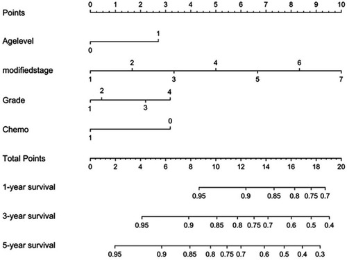 Figure S4 Nomogram to predict OS of patients with AJCC stage I\II\III colon cancer. To validate the nomogram, the sum of each predictor point was charted on the total points axis. The 1-, 3-, and 5-year OS rates were estimated by plotting a straight vertical line from the charted total points axis to the same OS rate axis. For the “Age level” line, 1 indicates “≥60 years” old and 0 indicates “<60 years old”. For the “Chemo” line, 1 refers to “adjuvant chemotherapy performed” and 0 refers to “not performed”. For the “Grade” line, 0, 1, 2 and 3 refer to the well-differentiated, median-differentiated, poorly differentiated and undifferentiated, respectively. For the “modified stage” line, 1 to 7 separately refer to mI to mIIIC stage.Abbreviations: AJCC, American Joint Committee on Cancer; OS, overall survival.