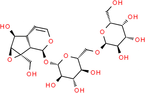 Figure 1 Diagram of ReA structure.