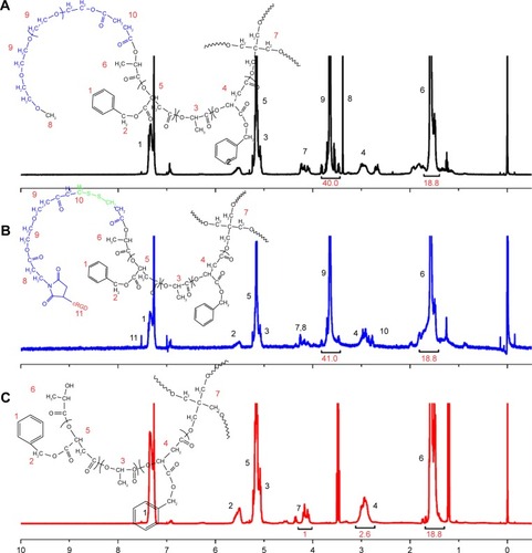 Figure 1 1H-NMR spectra of (A) mPEG-4sPLMBz, (B) RGD-PEG-ss-4sPLMBz, and (C) 4sPLMBz⋅(CDCl3). Figure 2 FTIR spectra (A and B) of mPEG-4sPLMBz and RGD-PEG-ss-4sPLMBz copolymers, and GPC traces of (C) mPEG, 4sPLMBz, mPEG-4sPLMBz, and RGD-PEG-ss-4sPLMBz copolymers.Abbreviations: FTIR, Fourier transform infrared; GPC, gel permeation chromatography; min, minutes; mPEG, methoxy poly(ethylene glycol); PEG, poly(ethylene glycol).Display full size Scheme 2 The synthetic routes of RGD-PEG-ss-4sPLMBz copolymer.Abbreviations: cRGD, cyclic RGD; PEG, poly(ethylene glycol).Display full sizeAbbreviations: 1H-NMR, proton nuclear magnetic resonance; mPEG, methoxy poly(ethylene glycol); PEG, poly(ethylene glycol).