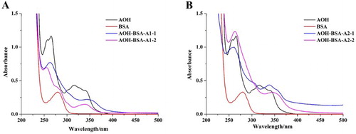 Figure 2. The UV–VIS spectra of coating antigens (AOH-BSA): (A) coating antigens conjugated by carbonyldimidazole method, and (B) coating antigens conjugated by formaldehyde condensation.