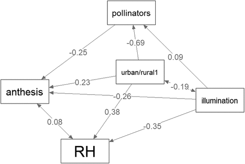 Figure 3. Graphic display of the estimated path analysis model. The numbers are beta values. For statistical significance, see the text.