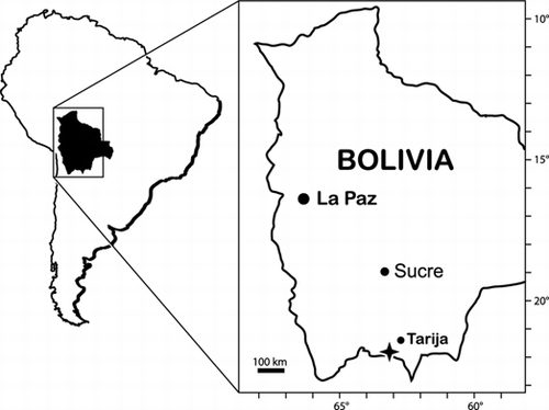Inset map showing the location of Quebrada Honda relative to South America. The locality of Quebrada Honda is demarcated with a star. Image modified from Croft (Citation2007).
