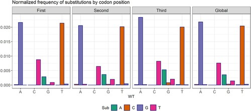 Figure 2. Changes observed between pairs of bases by codon position. In abscissas, the WT base, with variants in the bars. In ordinates, the ratio (#X → Y substitutions) / (#X sites). The pattern of substitutions is homogeneous in all three codon sites, despite the A → G and T → C biases observed. The incidence of transversions was very low, with G → T and T → A dominating.