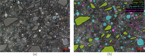 Figure 3. Image from light microscopy (500 fold magnification): (a) original and (b) analyzed with region mapping and area fractions in percent.