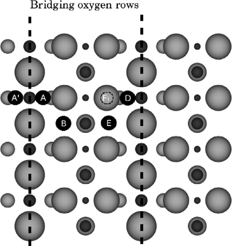 Figure 1 A plan view of the surface indicating the adatom and interstitial sites used in this paper. Ti atoms are dark grey and O atoms light grey, with larger atoms closer to the surface. The bridging oxygen rows are indicated with the dashed lines. Site A (and equivalents A′ and D) is the adatom in its most favourable site, next to two bridging oxygens and one in-plane oxygen. Site B (and its equivalent E) is the adatom in its second favourable binding site next to one bridging and two in-plane oxygens. Site Fi is an interstitial site one O–Ti–O layer down; there is an alternative interstitial site Bi, underneath B. Interstitials another O–Ti–O layer down are labelled Fii and Bii, respectively.