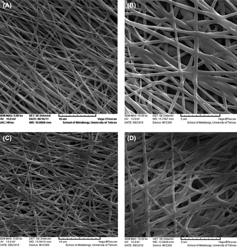 Figure 3. SEM images of the un-cross linked nanofibrous PHBV mat (A: 5000× – B: 10000×) and the collagen-coated nanofibrous PHBV mat (C: 5000× – D: 10000×).