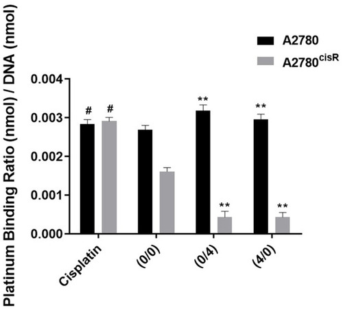 Figure 5 Intracellular platinum-DNA binding levels in A2780 and A2780cisR calculated in response to sequential (0/0, 0/4 and 4/0 h) drug administration; data are expressed as means ± SEM (n = 3); and analyzed by ANOVA (two-way) followed by multiple comparison test (post hoc Bonferroni) using the software Graph Pad Prism-6. ** indicates P <0.01 and # shows significant difference relative to the control through two-way ANOVA followed by post hoc Bonferroni multiple comparisons test.