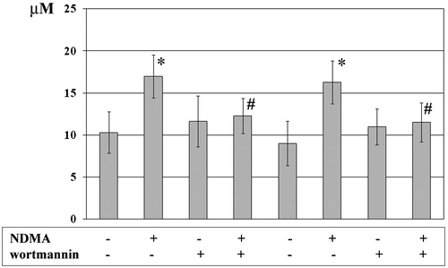 Figure 3. Concentrations of total NO from PMN and PBMC. PMN (left four columns) and PBMC (right four columns) were treated with or without wortmannin (0.1 µM) for 1 h before addition of NDMA (0.74 µg/µl). Two hours after addition of NDMA, culture medium was collected for use in measures of nitrite levels (as marker of NO production). Value significantly different between * cells without and with NDMA (p < 0.05) or # NDMA-treated pre-incubated with or without inhibitor (p < 0.05). NO products were expressed as µM and data are shown as mean (±SE) of 20 experiments.