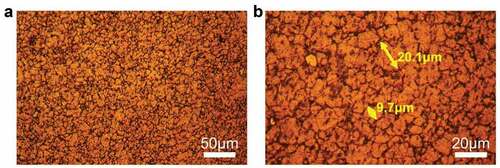 Figure 2. The microstructure of 718Plus alloy was characterised by OM: (a) The overall morphology of the sample grains, (b) Observation diagram of sample grain size.