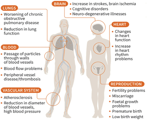 Figure 3. A diagram illustrating the effects of PM on human health (Choi & Kim, Citation2021).