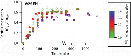Figure 1. Particle mass changes of AS particles coated with fresh or aged OA at 60% RH. The color scale indicates the mass fraction (on a dry basis) of organic coating. Online color: Open circles—particles coated with fresh OA: light green—experiment #1 (in Table 1, same as below); dark green—experiment #2; red—experiment #3; blue—experiment #4. Solid circles—particles coated with mildly aged (1 ppm ozone, 1 h of processing) OA prior to DMA uptake: dark green – experiment #5; red – experiment #6; purple - experiment #7. Solid squares—particles coated with intensively aged (2 ppm ozone, 12 h of processing) OA prior to DMA uptake: dark green—experiment #8; red—experiment #9; purple—experiment #10. Experimental uncertainties are not shown because they are masked by the symbols.