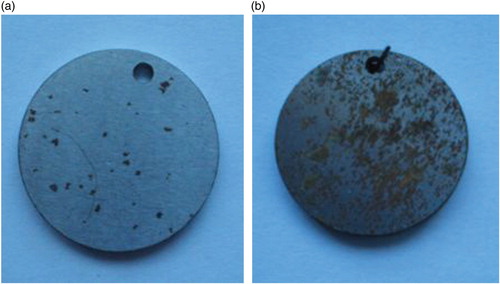 Figure 2. Overall view of 20 steel samples after 24 h of exposition in the nitrophosphate (dry) (a) and ammonium sulphate (dry) (b).