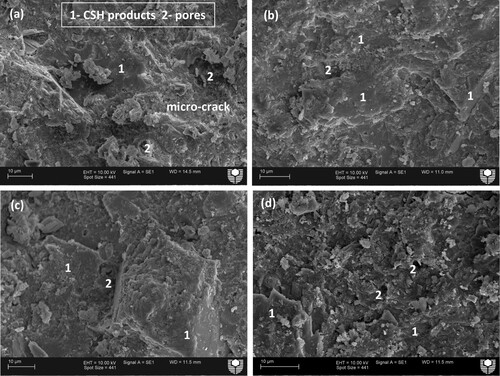 Figure 9 (a-d). SEM micrographs of: (a) plain cement composite, nanocomposites comprising: (b) 1 wt% NC, (c) 2 wt% NC, (d) 3 wt% NC.