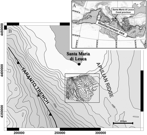 Figure 1. Study area: (a) location within the Mediterranean Sea; (b) bathymetric map of the area with detail of the Santa Maria di Leuca (SML) coral province.
