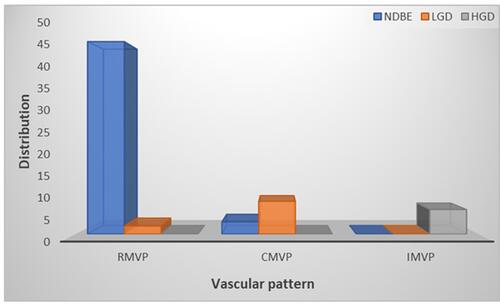 Figure 3 Distribution of dysplastic categories based on vascular pattern. The majority of samples with a RMVP were NDBE (47 of 49) or 95.9% compared to 2 or 4.1% LGD and no HGD. Eleven samples were thought to have a CMVP as compared to the background mucosa. Of these, 8 or 72.7% were LGD compared to 3 or 27.3% NDBE and no HGD. Six samples were found to have an IMVP and 100% of the images correlated with HGD.