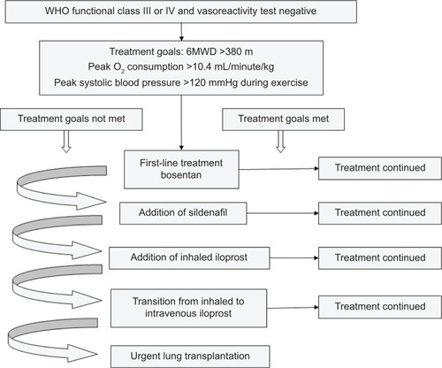 Figure 2 Goal-oriented treatment algorithm for patients with pulmonary arterial hypertension.