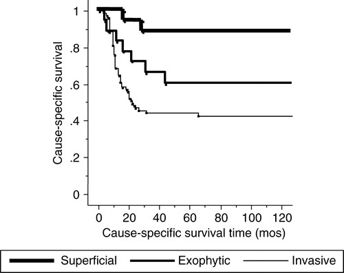 Figure 3.  The cause-specific survival rates according to the macroscopic type. Invasive and exophytic types show poor prognosis compared to superficial type with statistical significance.