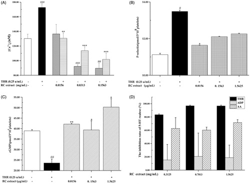 Figure 3. Effect of RC on the platelet intracellular calcium [Ca2+]i concentration [A, mean ± SD (n = 3), ###p < .001, vs. resting platelet group, **p < .01, ***p < .001, ##p < .01, vs. THR activated group], P-selectin [B, mean ± SD (n = 3), #p < .05, vs. resting platelet group, *p < .05, vs. THR-activated group], cGMP [C, mean ± SD (n = 3), ##p < .01, vs. resting platelet group, *p < .05, vs. THR-activated group] and 5-HT [D, mean ± SD (n = 3)].