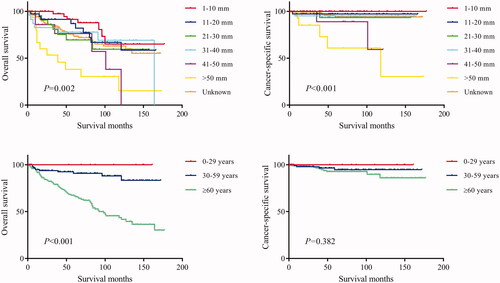 Figure 4. Overall survival (OS) and cancer-specific survival (CSS) of hidradenocarcinoma patients stratified by tumour size and age.