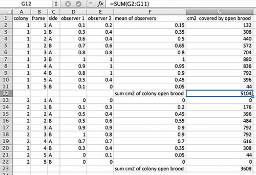 Figure 9. Example of a datasheet for converting raw observer data into cm2 of open honey bee (Apis mellifera) brood cells (see section Subjective mode).