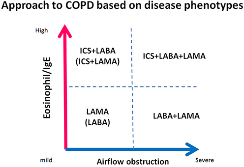 Figure 3 Approach to COPD treatment based on the degree of airflow obstruction and peripheral blood eosinophil counts. This proposal for positioning ICSs and bronchodilators for the treatment of COPD in clinical practice follows a personalized medicine approach that is not based on the stratification of patients into subgroups, but rather is based on individual characteristics that consider the heterogeneity and complexity of the disease in patients. Reprinted with permission from Dove Medical Press. Hizawa N. LAMA/LABA vs ICS/LABA in the treatment of COPD in Japan based on the disease phenotypes. Int J Chron Obstruct Pulmon Dis. 2015;10:1093–1102.Citation55