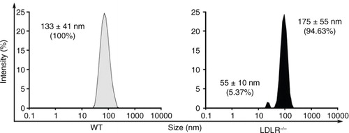 Fig. 4.  Dynamic light scattering size characterization of particles present in lymph of wild-type (WT) and LDLR-/- mice. Dimensions of the particles present in lymph from WT and LDLR-/- mice were determined with a Zetasizer Nano S, Malvern Instruments, UK Experiments were performed with 3 mice per experimental group.