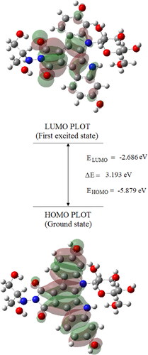Figure 5. The atomic orbital HOMO-LUMO composition of the frontier molecular orbital for Edotecarin.