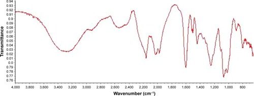 Figure 3 Fourier transform infrared spectroscopy spectrum of silver nanoparticles synthesized using Eysenhardtia polystachya extract.