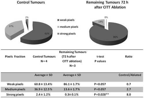 Figure 4. Quantification of pimonidazole staining: percentage of weak, medium and strong pimonidazole signal in control tumours and tumours remaining after ablation. Tumour sections stained for pimonidazole were scanned and the percentages of red, orange and yellow pixels corresponding to weak, medium and strong pimonidazole intensity staining were calculated (pie charts).