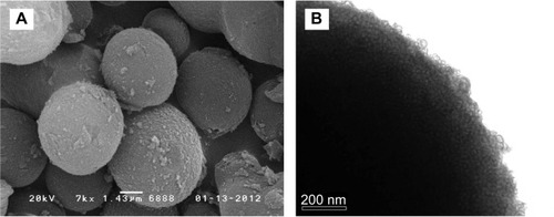 Figure 2 Electron microscopy images of spherical mesoporous silica beads on (A) field emission scanning electron microscopy and (B) transmission electron microscopy.