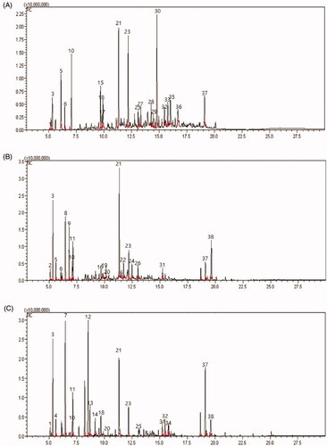 Figure 3. Capillary gas chromatogram of three species leaves volatiles obtained by steam distillation. (A) C. cbtusa, (B) C. pisifera, and (C) T. occidentalis. The GC column was a 60 mm × 0.25 mm × 0.25 μm i. d. HP-1 fused silica capillary column. The peak numbers correspond to the numbers in Table 1. 1: I-Phellandrene, 2: Tricyclene, 3: α-Pinene, 4: Camphene, 5: Sabinene, 6: β-Pinene, 7: β-myrcene, 8: Myrcene, 9: 3-Carene, 10: Benzene, 11: Bicyclo, 12: Thujone, 13: α-Thujone, 14: Camphor, 15: 3-Cyclohexen-1-1-ol, 16: Verbenol, 17: Benzenemethanol, 18: 3-Cyclohexen-1-methan, 19: 1,4-Methanoazulene, 20: Caryophyllene, 21: Bornyl acetate, 22: 2-Cyclohexen-1, 23: Terpinyl acetate, 24: trans-2-Caren, 25: α-Cedrane, 26: 1-methyl-4, 27: Widdrene, 28: methyl, 29: Naphthalene, 30: Cyclohexanemethanol, 31: Phenanthrene, 32: α-cedrol, 33: 2-Naphthalenemethanol, 34: 7-Methanoazulen, 35: β-Eudesmol, 36: Humulen, 37: Norkaur, 38: Limonene