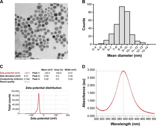 Figure 1 Appearance and physicochemical characteristics of AgNPs.Notes: (A) TEM of AgNPs. (B) Size distribution of AgNPs based on TEM images. (C) Zeta potential analysis of AgNPs. (D) UV–visible absorption spectroscopy showed the maximum absorbance at 392 nm for AgNPs.Abbreviations: AgNPs, silver nanoparticles; OD, optical density; TEM, transmission electron microscopy; UV, ultraviolet.