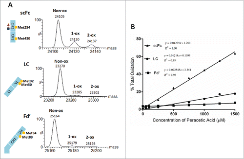 Figure 6. Three subunits of mAb-B with indicated methionine residues and corresponding deconvoluted mass spectra for the sample treated with 500µM peracetic acid (A). The sum of 1-ox and 2-ox species in Panel A was plotted as a function of peracetic acid concentration (B).