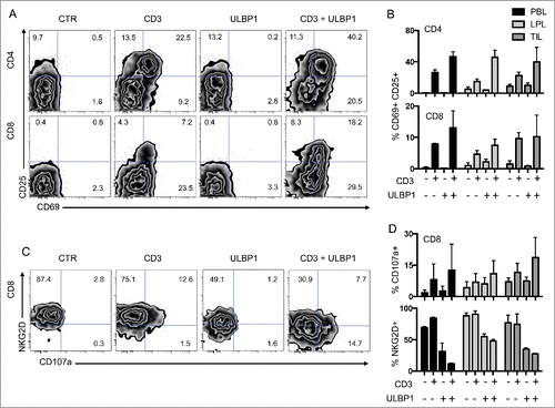 Figure 5. Co-stimulation of CD4 and CD8 T cells through the NKG2D ligand ULBP1. (A) Representative FACS analysis of CD4 and CD8 T cells from PBL co-cultured with P815 cells in control conditions (CTR), P815 cells incubated with anti-CD3 antibodies (CD3), P815 cells expressing ULBP1 (ULBP1), or P815 cells expressing ULBP1 in the presence of anti-CD3 antibody (CD3 + ULBP1). Activation was assessed by the expression of CD69 and CD25 at the cell surface of T cells. (B) Compiled analysis of CD4 and CD8 T-cell activation from the 3 compartments (PBL, LPL, and TIL) (n = 3). Mean and SEM are represented. (C) Representative FACS analysis of CD8 T cells from PBL co-cultured with P815 cells as in (A). NKG2D and CD107a expression was measured to assess degranulation. (D) Compiled analysis of CD8 T-cell activation from the 3 compartments (PBL, LPL, and TIL) (n = 3). Mean and SEM are represented. LPL, lamina propria lymphocytes; PBL, peripheral blood lymphocytes; TIL, tumor-infiltrating lymphocytes.