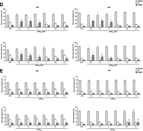 Figure 8 Evaluation of the effects of LIPO-NUT on ARPE-19 cell line. Representative images of ARPE-19 cells observed after 48 h of treatment with two concentrations of LIPO-Rho (corresponding to 25 and 50 μM of LIPO-NUT) using an EVOS M5000 Imaging System, 40x magnification (A). Cell viability was evaluated after 24h or 48h of treatment with different concentrations (range 25–0.1 μM) of each of the following nanoparticles: LIPO0.5 or LIPO0.5-NUT and LIPO0.8 or LIPO0.8-NUT (B). Apoptosis (C) and cell cycle (D and E) evaluation in ARPE-19 cells treated for 24h or 48h with different LIPO0.5-NUT, LIPO0.8-NUT, LIPO0.5 and LIPO0.8 concentrations (range: 0.1–25 μM). Results are reported as mean ± S.D. of at least three independent experiments. Statistical analysis was performed by ANOVA followed by Bonferroni post hoc test for pairwise comparisons. *p < 0.1, **p < 0.01, ***p < 0.001, ****p < 0.0001 with respect to untreated cells (UNT).