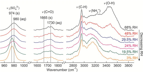 FIG. 11 Raman spectra of a single AS-MA mixed particle upon evaporation. (Figure provided in color online.)