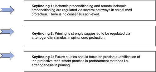 Figure 2. Summarized key findings of the systematic review.