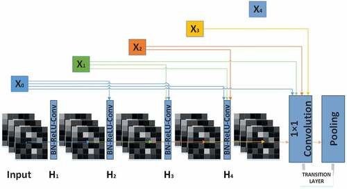 Figure 1. Structure of dense block and transition layer.