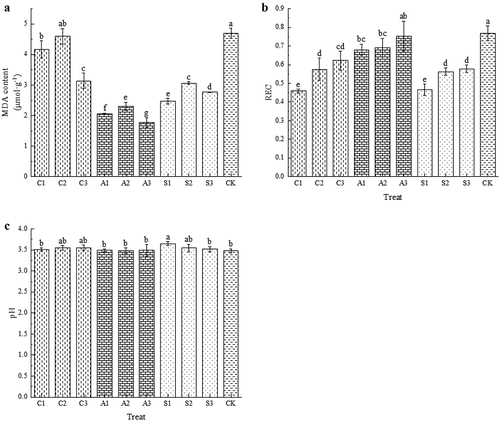 Figure 4. Effects of foliar calcium fertilizer on MDA (A), REC (B) and pH (C). The values are mean ± S.E. of three replicates. Vertical bars represent S.E. Vertical bars with the same letter were not significantly different at p<.05.