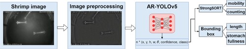 Figure 2. Overall process flow of the proposed method.