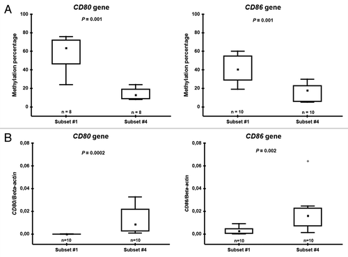 Figure 3. Pyrosequencing (A) and RQ-PCR (B) data on CD80 and CD86 in subset #1 and #4 patient samples. Boxes indicate the interquartile range (25–75%) while the small inner square indicates the median value. The whiskers represent the minimum and maximum values, except for outliers (circles) and extremes (stars).