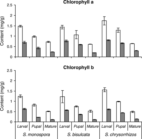 Figure 3.  Chlorophyll a and b content (mg/g dry weight) of normal (white columns) and galled (gray columns) tissues at three developmental stages of three species of Selaginella. Mean±SD, n=5.